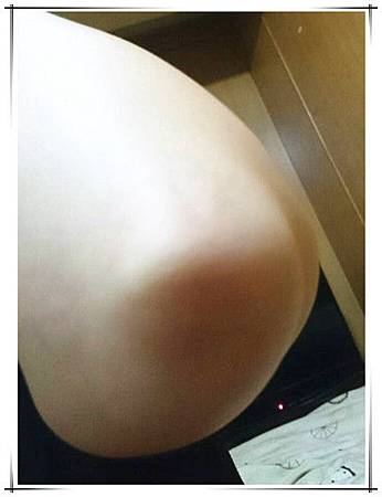 試用