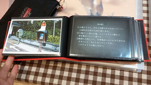 20141104_153356 20141104_153356