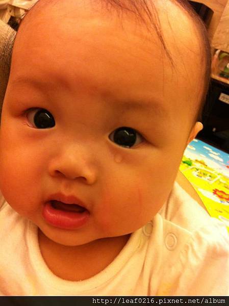 跟拿鐵大戰 跟拿鐵大戰