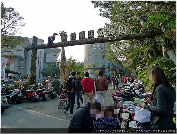 新竹動物園.JPG