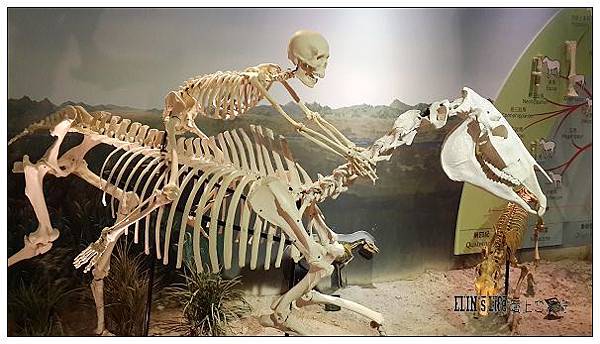 20140916-001.jpg 20140916-001.jpg