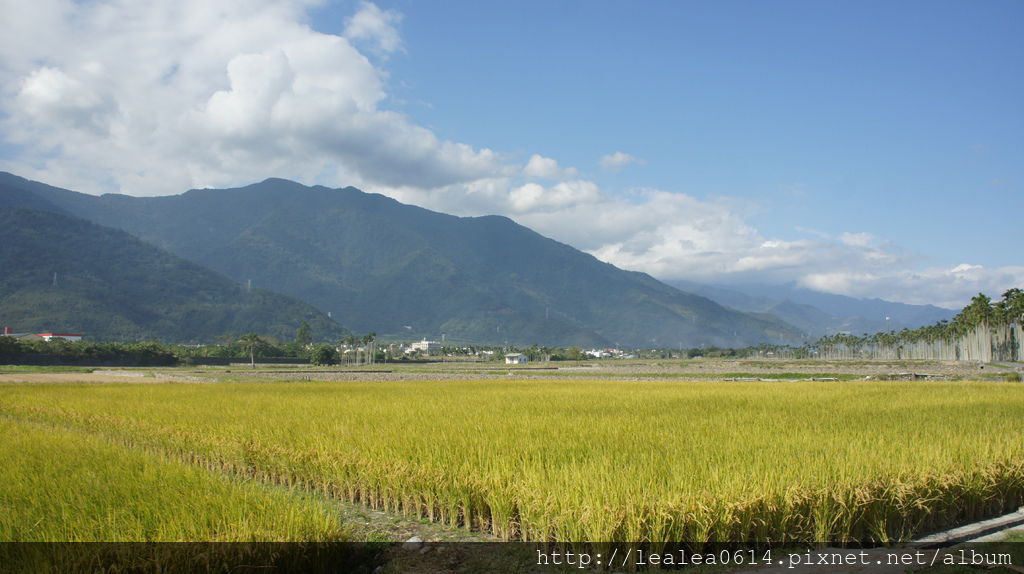 DSC04985.JPG DSC04985.JPG