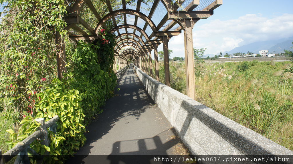 DSC04993.JPG DSC04993.JPG