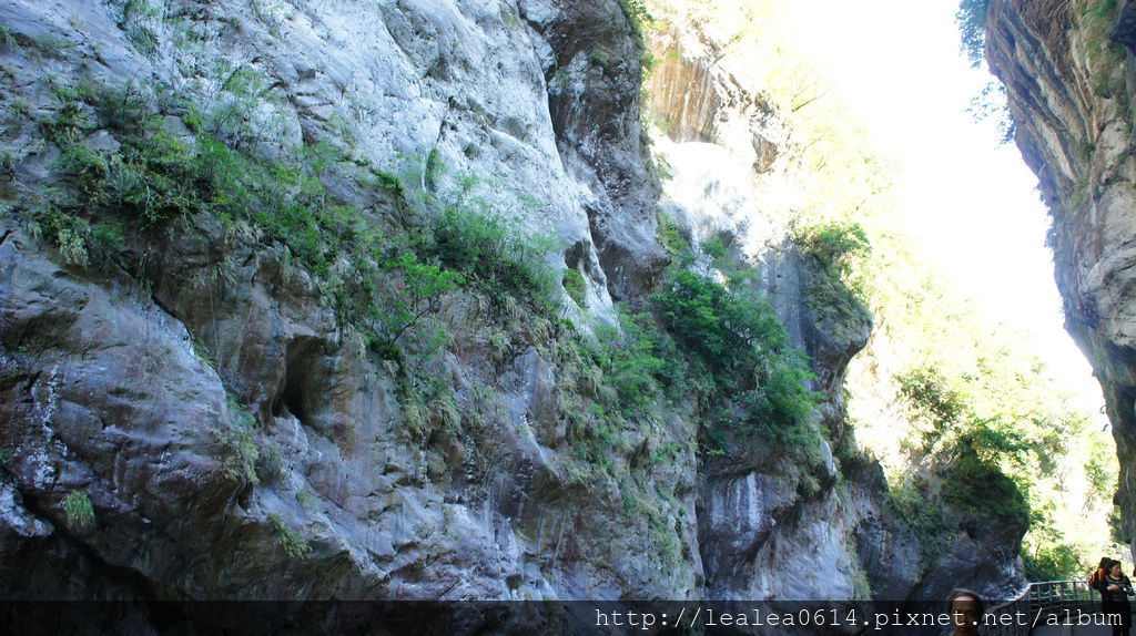 DSC05069.JPG DSC05069.JPG