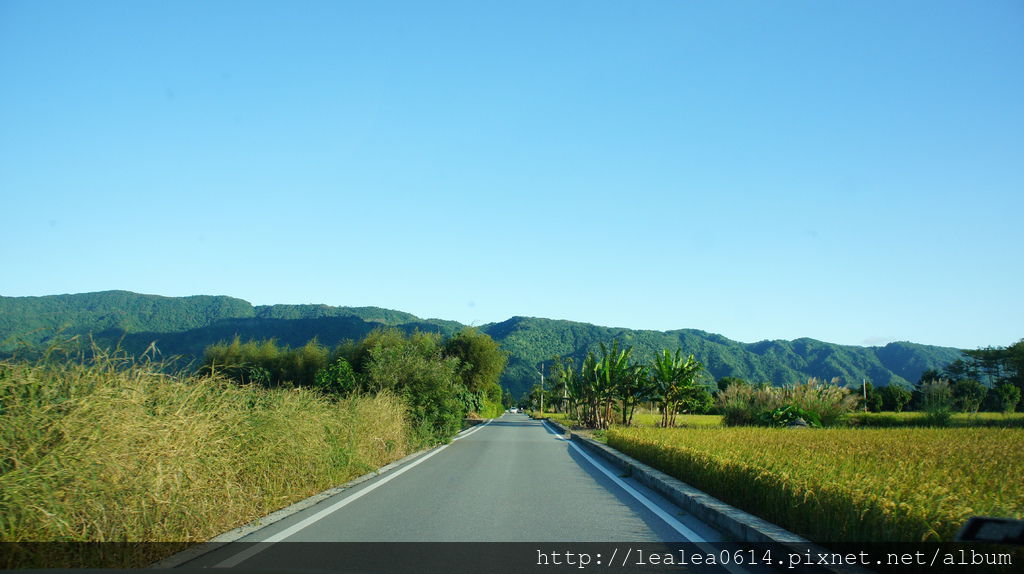 DSC05223.JPG DSC05223.JPG