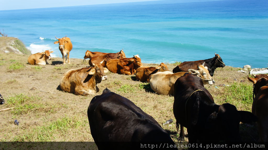 DSC05351.JPG DSC05351.JPG