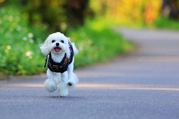 8F4A5323_nEO_IMG 8F4A5323_nEO_IMG