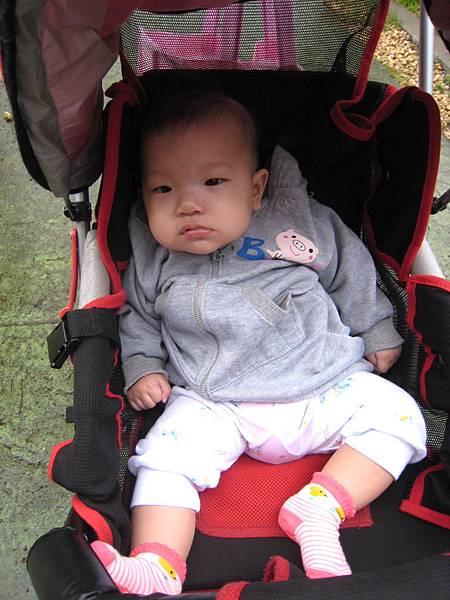 IMG_0108-1.jpg IMG_0108-1.jpg