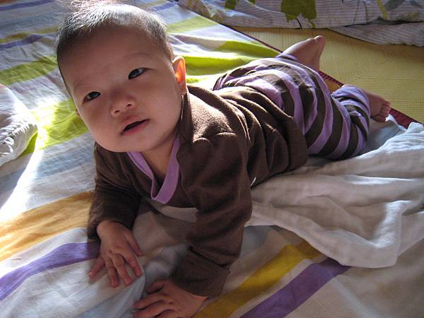 IMG_0260-1.jpg IMG_0260-1.jpg