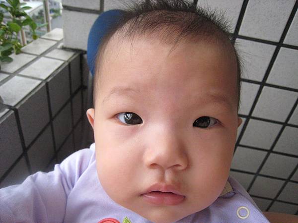 IMG_0288-1.jpg IMG_0288-1.jpg