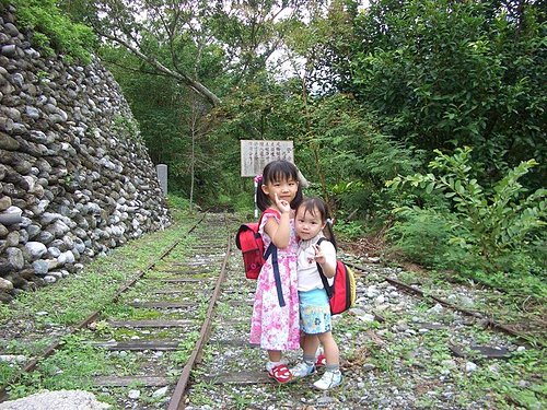 林田山林業文化園區|怡園渡假村|理想大地|遠雄悅來大飯店|東華大學