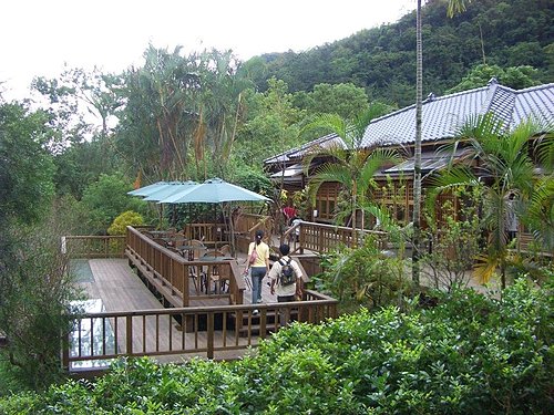 林田山林業文化園區|怡園渡假村|理想大地|遠雄悅來大飯店|東華大學