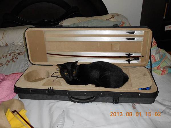 582333_204552633058389_1354193428_n