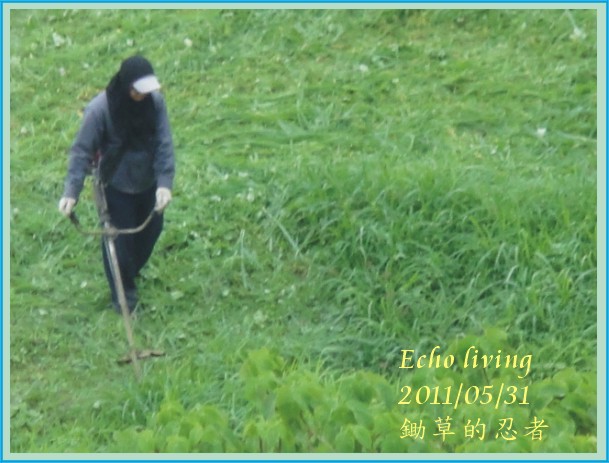 鋤草01.jpg