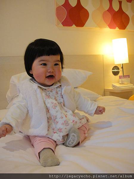 DSC03137 (2) DSC03137 (2)