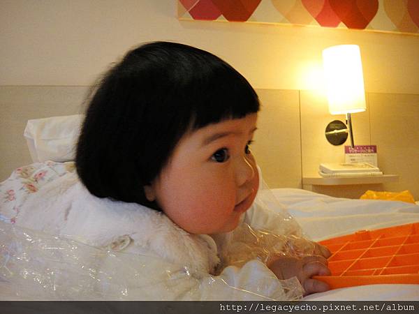 DSC03139 (2) DSC03139 (2)