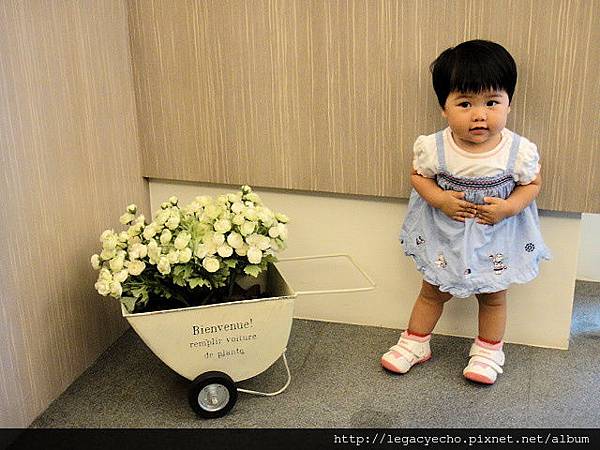 DSC05026 (2) DSC05026 (2)