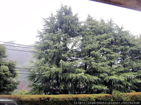 08DSC02090 (2) 08DSC02090 (2)