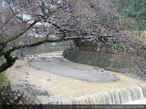 00午DSC02095 (2) 00午DSC02095 (2)