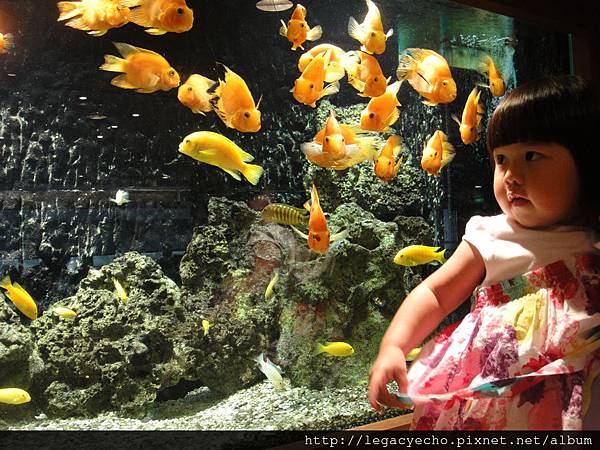 DSC00186 (2) DSC00186 (2)