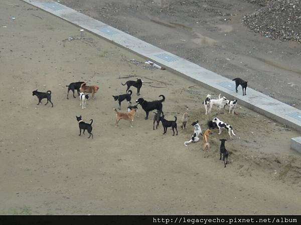 DSC00430 (2) DSC00430 (2)