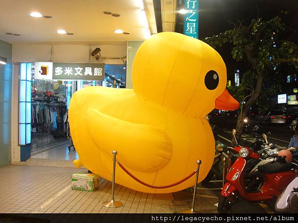 DSC00126 (2) DSC00126 (2)