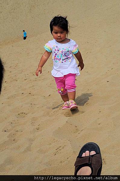 00征服沙丘.jpg 00征服沙丘.jpg