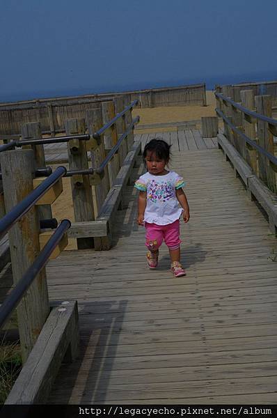 04進入沙丘前的步道.jpg 04進入沙丘前的步道.jpg