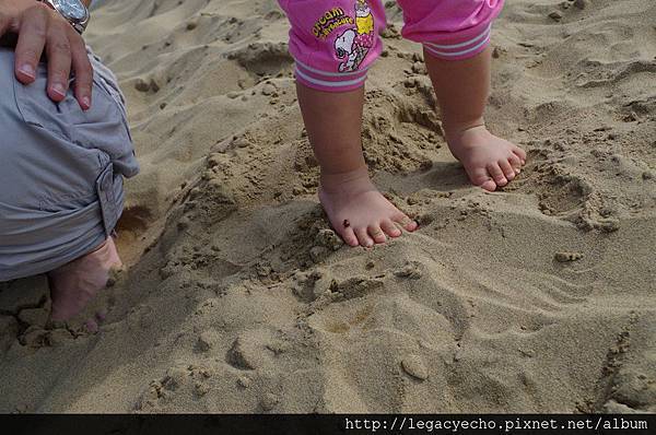 12瓢蟲爬上亮亮的腳.jpg 12瓢蟲爬上亮亮的腳.jpg