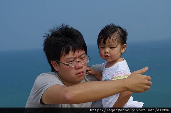 14瓢蟲_n.jpg 14瓢蟲_n.jpg