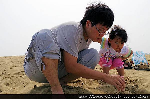 16瓢蟲.jpg 16瓢蟲.jpg