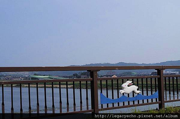 20白兔.jpg 20白兔.jpg