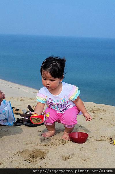 23鳥取沙丘峰頂的亮亮.jpg 23鳥取沙丘峰頂的亮亮.jpg