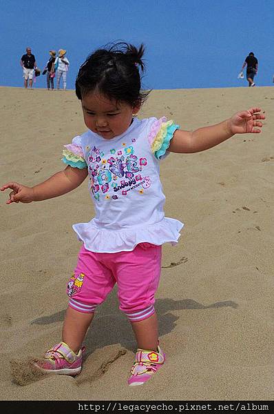 33鳥取沙丘01.jpg 33鳥取沙丘01.jpg