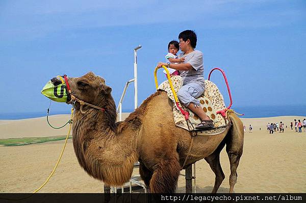 35與駱駝合照.jpg 35與駱駝合照.jpg