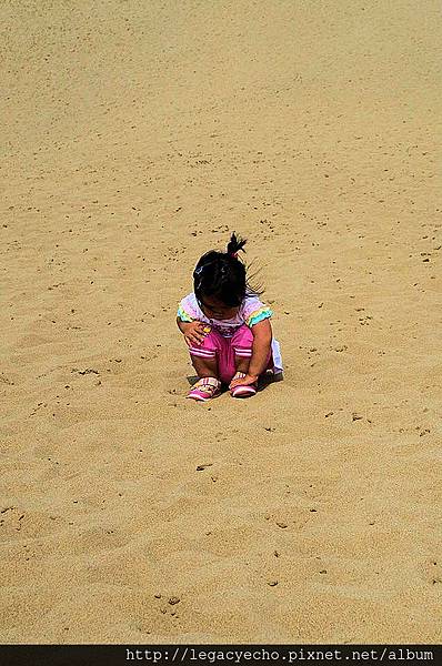 37沙丘上的探索.jpg 37沙丘上的探索.jpg