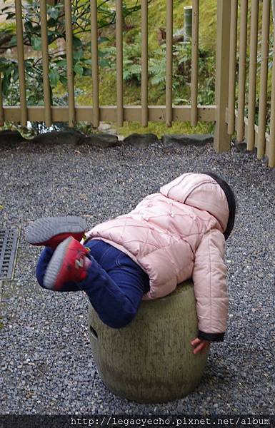 旱地練蛙腳 (2) 旱地練蛙腳 (2)