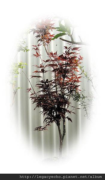 DSC02013 (3) DSC02013 (3)