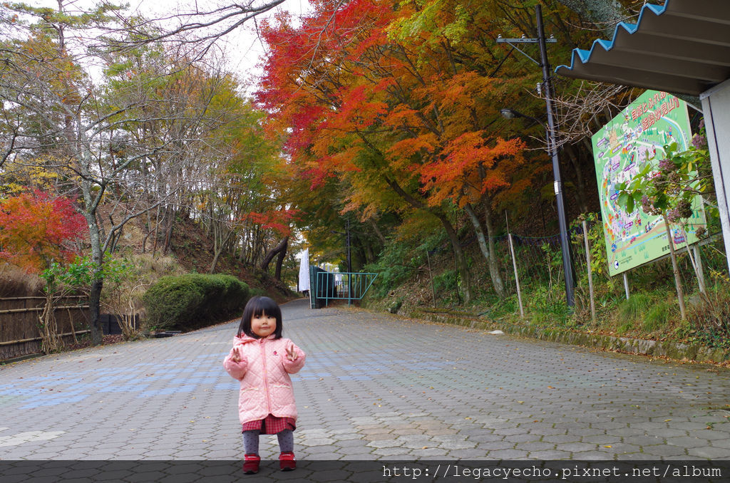 IMGP4610 (2) IMGP4610 (2)