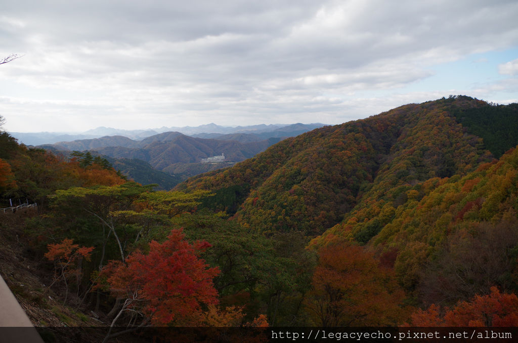 IMGP4631 (2) IMGP4631 (2)