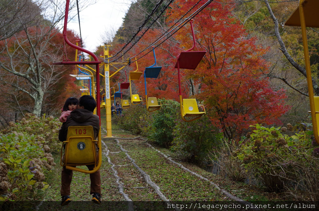 IMGP4645 (2) IMGP4645 (2)