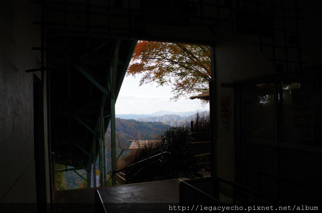 IMGP4606 (2) IMGP4606 (2)