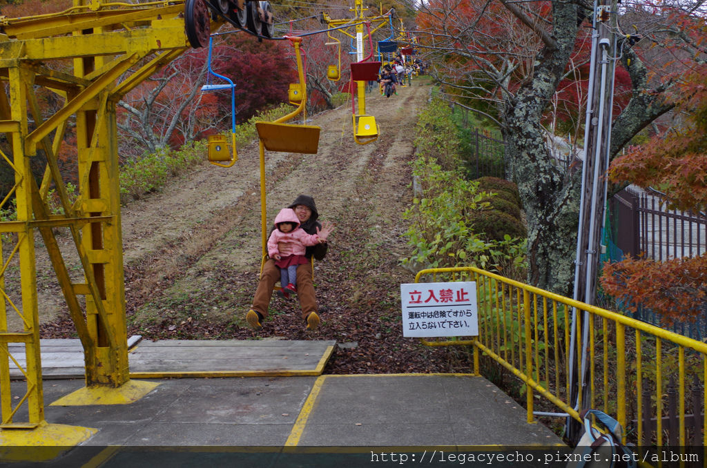 IMGP4688 (2) IMGP4688 (2)