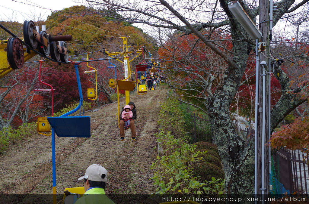 IMGP4684 (2) IMGP4684 (2)