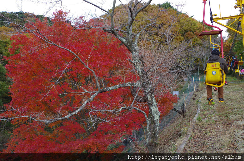 IMGP4640 (2) IMGP4640 (2)