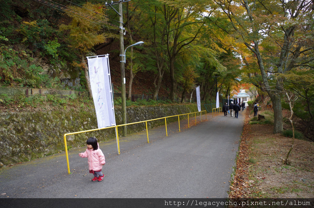 IMGP4624 (2) IMGP4624 (2)