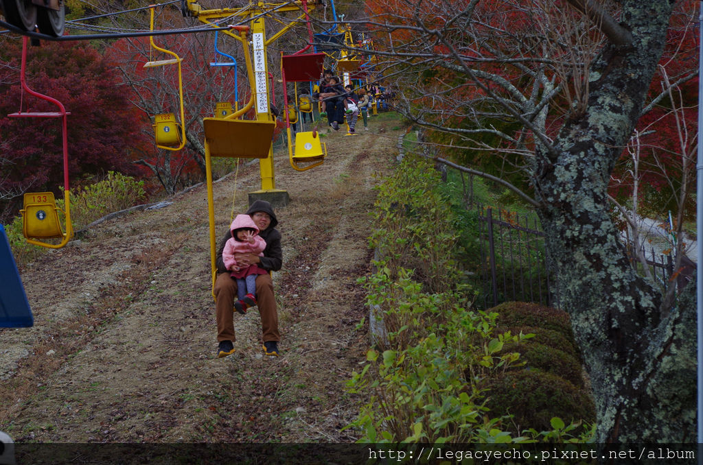 IMGP4685 (2) IMGP4685 (2)