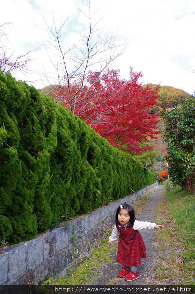 IMGP4801 (2) IMGP4801 (2)