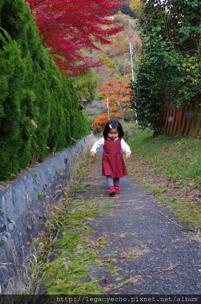 IMGP4794 (2) IMGP4794 (2)