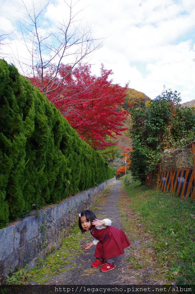 IMGP4797 (2) IMGP4797 (2)